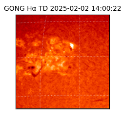 gong - 2025-02-02T14:00:22