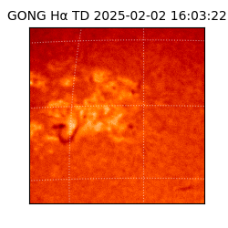 gong - 2025-02-02T16:03:22