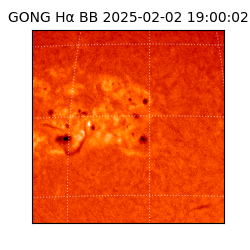 gong - 2025-02-02T19:00:02