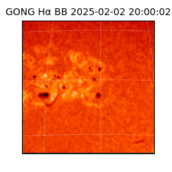 gong - 2025-02-02T20:00:02