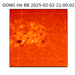 gong - 2025-02-02T21:00:02