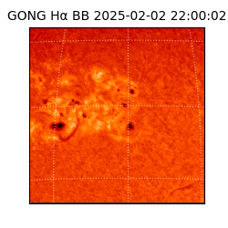 gong - 2025-02-02T22:00:02