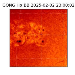 gong - 2025-02-02T23:00:02