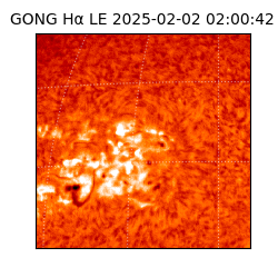 gong - 2025-02-02T02:00:42