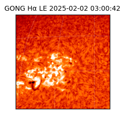 gong - 2025-02-02T03:00:42