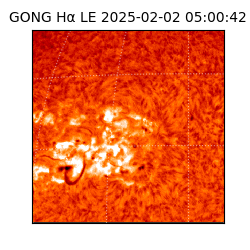 gong - 2025-02-02T05:00:42