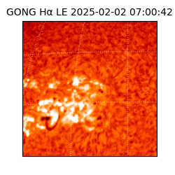 gong - 2025-02-02T07:00:42