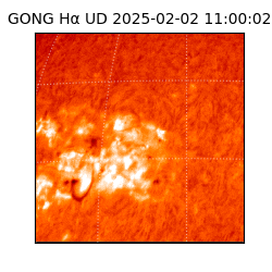 gong - 2025-02-02T11:00:02