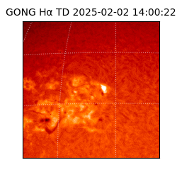 gong - 2025-02-02T14:00:22