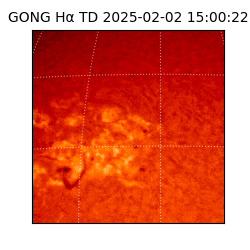 gong - 2025-02-02T15:00:22