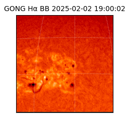 gong - 2025-02-02T19:00:02