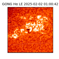 gong - 2025-02-02T01:00:42