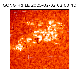 gong - 2025-02-02T02:00:42