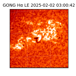 gong - 2025-02-02T03:00:42