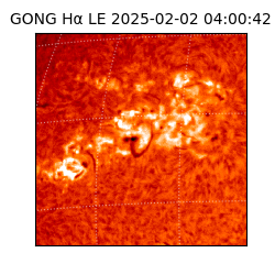 gong - 2025-02-02T04:00:42