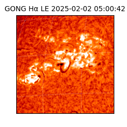 gong - 2025-02-02T05:00:42