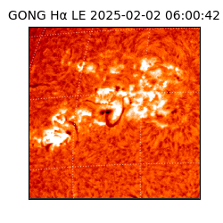 gong - 2025-02-02T06:00:42