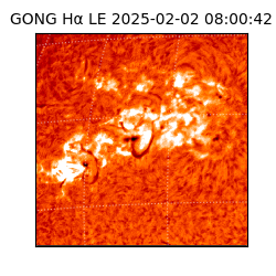 gong - 2025-02-02T08:00:42