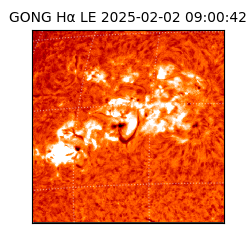 gong - 2025-02-02T09:00:42