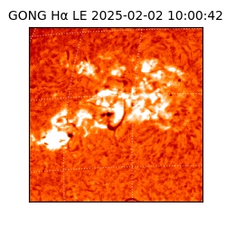 gong - 2025-02-02T10:00:42