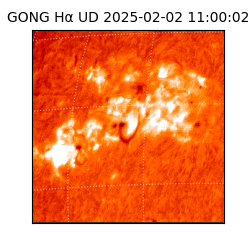 gong - 2025-02-02T11:00:02