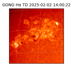 gong - 2025-02-02T14:00:22