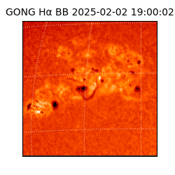 gong - 2025-02-02T19:00:02