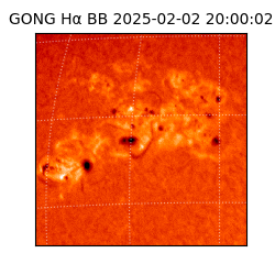 gong - 2025-02-02T20:00:02