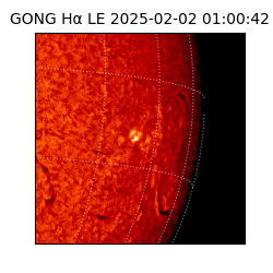 gong - 2025-02-02T01:00:42