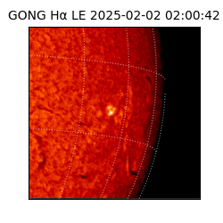 gong - 2025-02-02T02:00:42