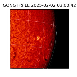 gong - 2025-02-02T03:00:42