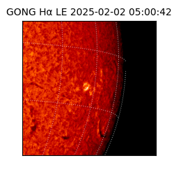 gong - 2025-02-02T05:00:42