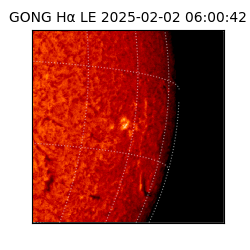gong - 2025-02-02T06:00:42