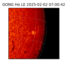 gong - 2025-02-02T07:00:42
