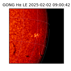 gong - 2025-02-02T09:00:42