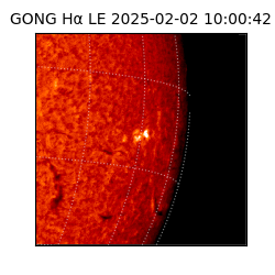 gong - 2025-02-02T10:00:42