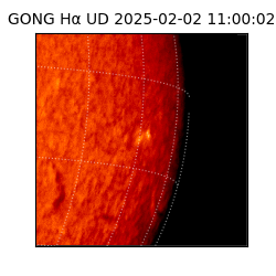 gong - 2025-02-02T11:00:02