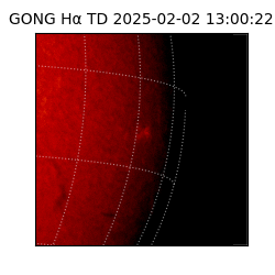 gong - 2025-02-02T13:00:22