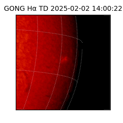 gong - 2025-02-02T14:00:22