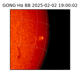 gong - 2025-02-02T19:00:02