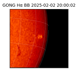 gong - 2025-02-02T20:00:02