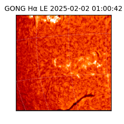 gong - 2025-02-02T01:00:42