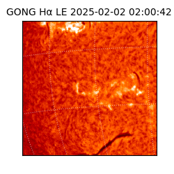 gong - 2025-02-02T02:00:42