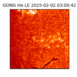 gong - 2025-02-02T03:00:42