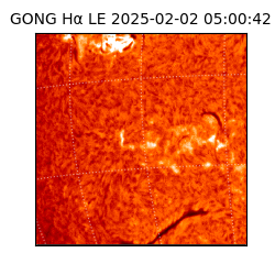 gong - 2025-02-02T05:00:42