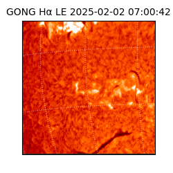 gong - 2025-02-02T07:00:42