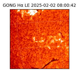 gong - 2025-02-02T08:00:42