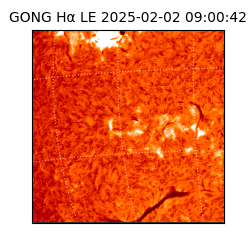 gong - 2025-02-02T09:00:42