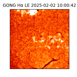 gong - 2025-02-02T10:00:42