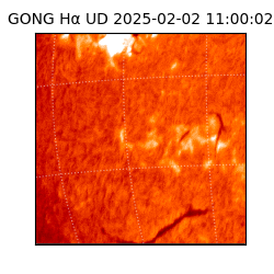 gong - 2025-02-02T11:00:02